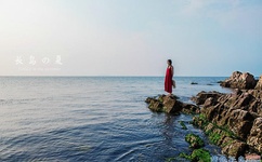 国产不卡一卡2卡三卡4卡5卡